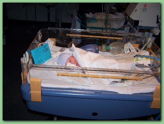 584x433 pixels (243K)